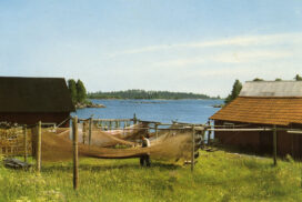 Gistvall i Gåsholma, Hamrångebygden - foto DigitalMuseum