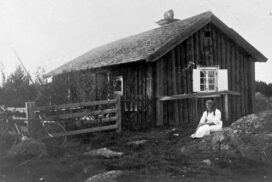 Fäbodar i Häckelsäng, Hamrångebygden 1926 - foto DigitalMuseum