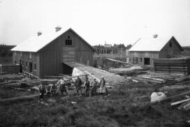Ladugård i Häckelsäng, Hamrångebygden 1930-tal - foto DigitalMuseum