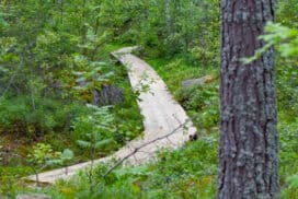 Jungfruleden - en cykelled från Axmar bruk till Harkskär