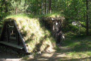 Hådells gammelskog naturreservat - foto Länsstyrelsen
